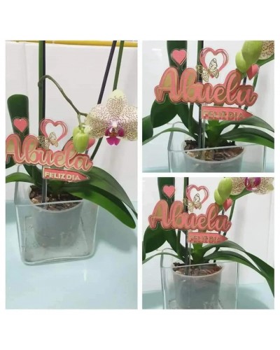 Toper abuela